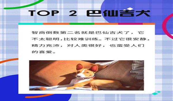 寻血猎犬三角洲测试(寻血猎犬三角洲测试什么时候开始) 寻血猎犬三角洲测试(寻血猎犬三角洲测试什么时候开始)